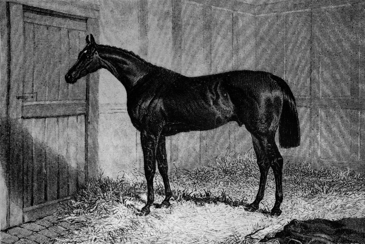 Foig-A-Ballagh, c1841-1860, 1911 od Unbekannt