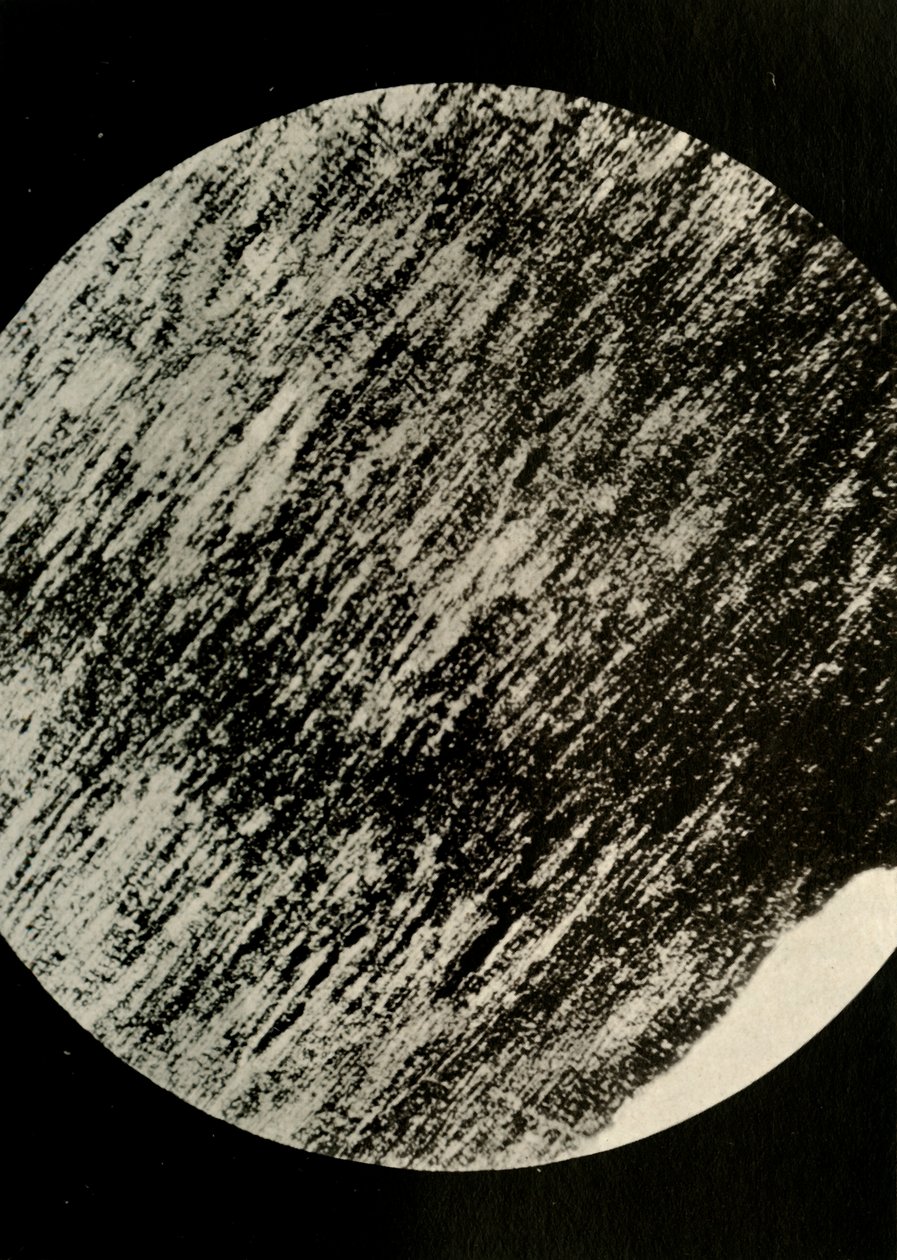 Fosilní dřevo v pískovci, z Morény v zeměpisné šířce 85° jižně, c1908, 1909. od Unbekannt