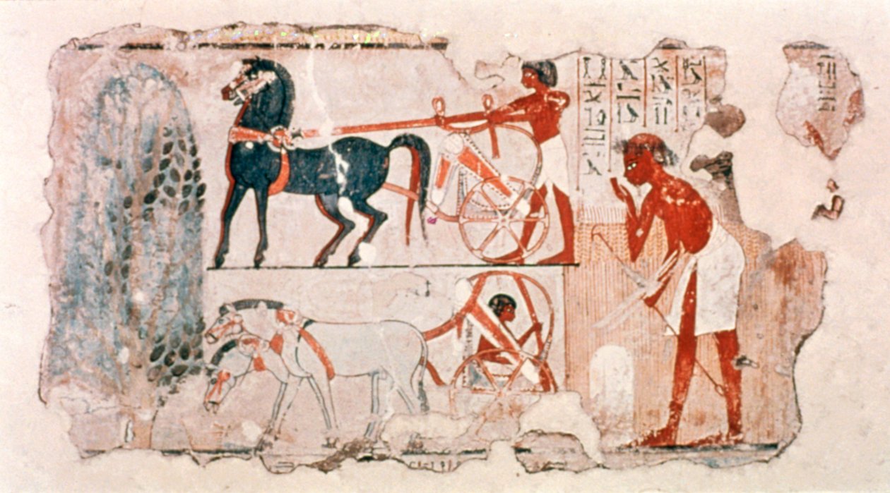Fragment starověké egyptské malované sádry zobrazující zprávu o sklizni, c1400 př.nl od Unbekannt