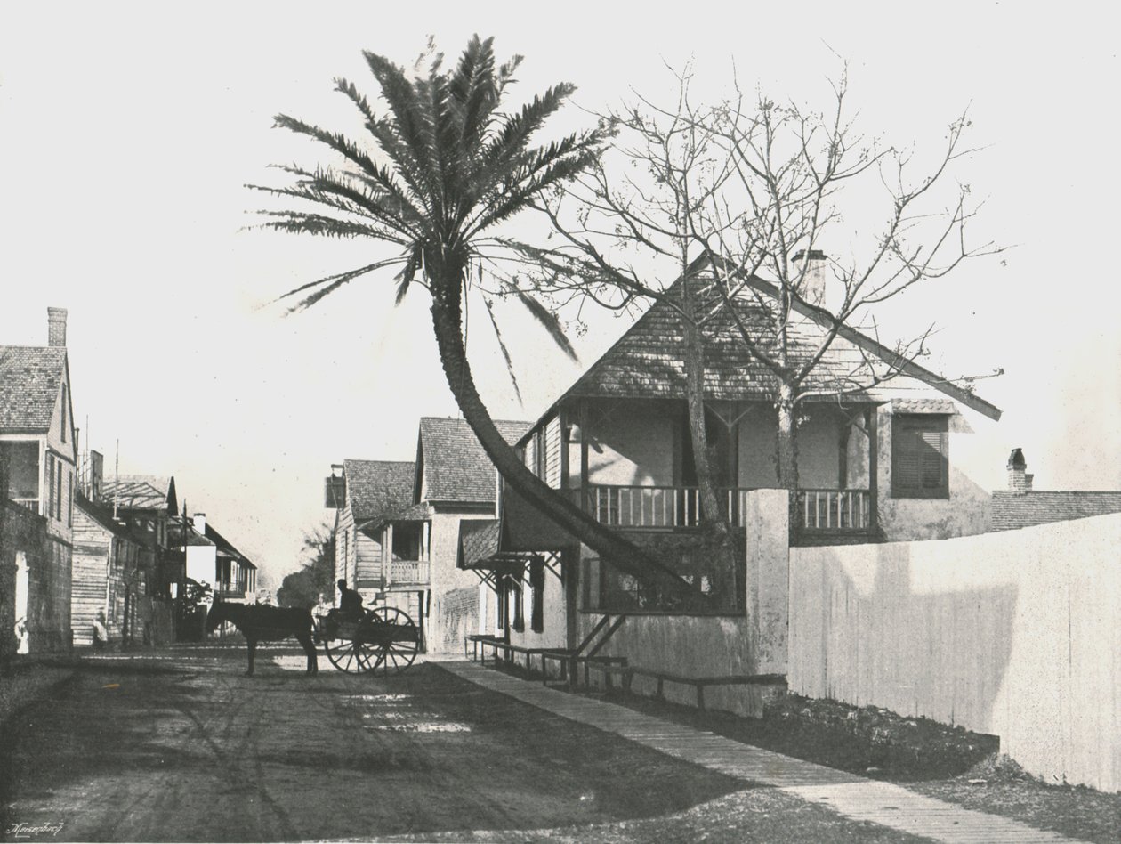 Francis Street, St Augustine, USA, 1895. od Unbekannt
