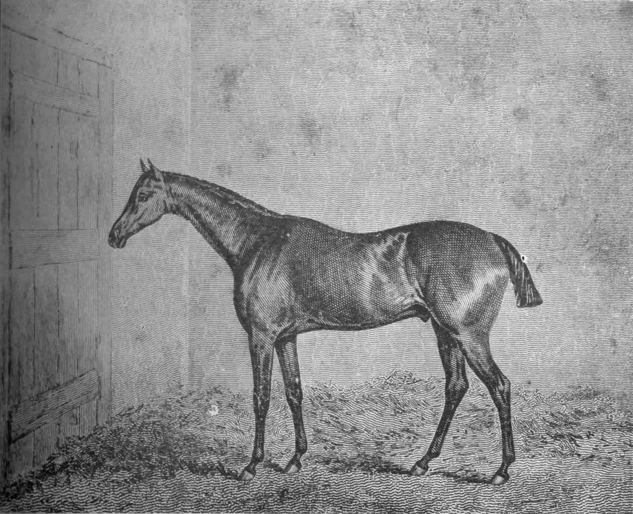 Frederick, 1826-1837, 1911 od Unbekannt