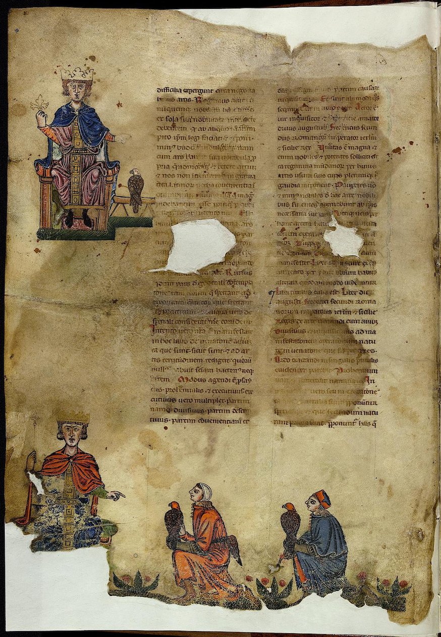 Fridrich II. De Arte Venandi cum Avibus o umění lovu s ptáky od Unbekannt