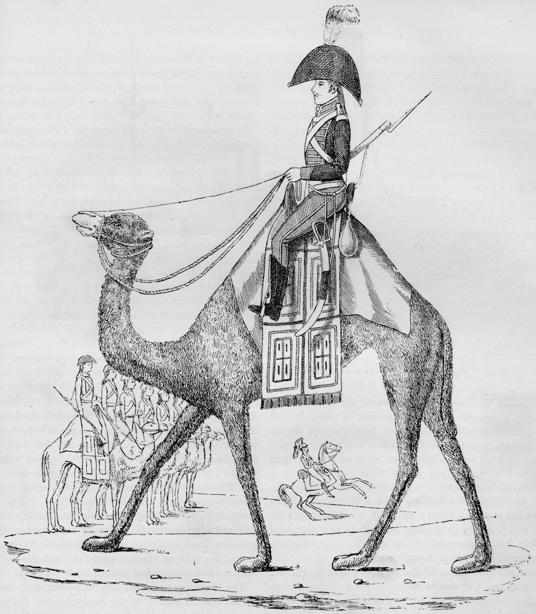 francouzský dromedářský pluk. Zajat konvojem v Libyjské poušti, květen 1801, 1884 od Unbekannt