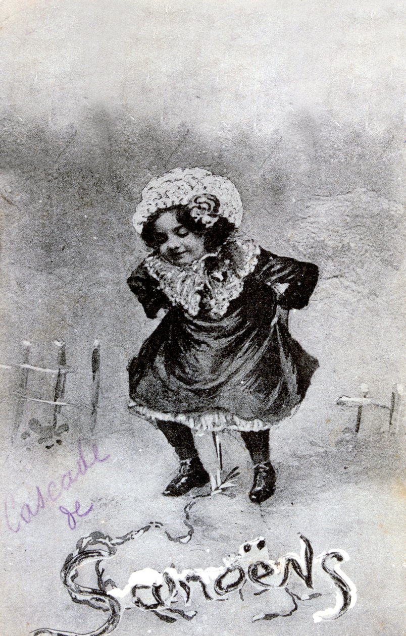 Francouzská pohlednice, c1900 od Unbekannt