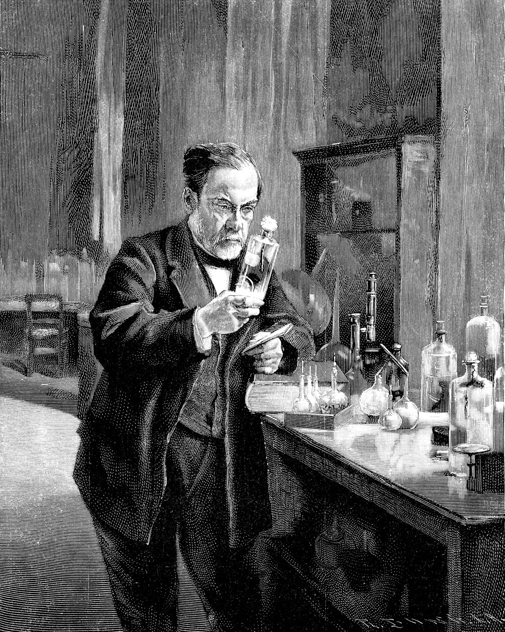 Francouzský chemik a mikrobiolog Louis Pasteur 18221895 od Unbekannt