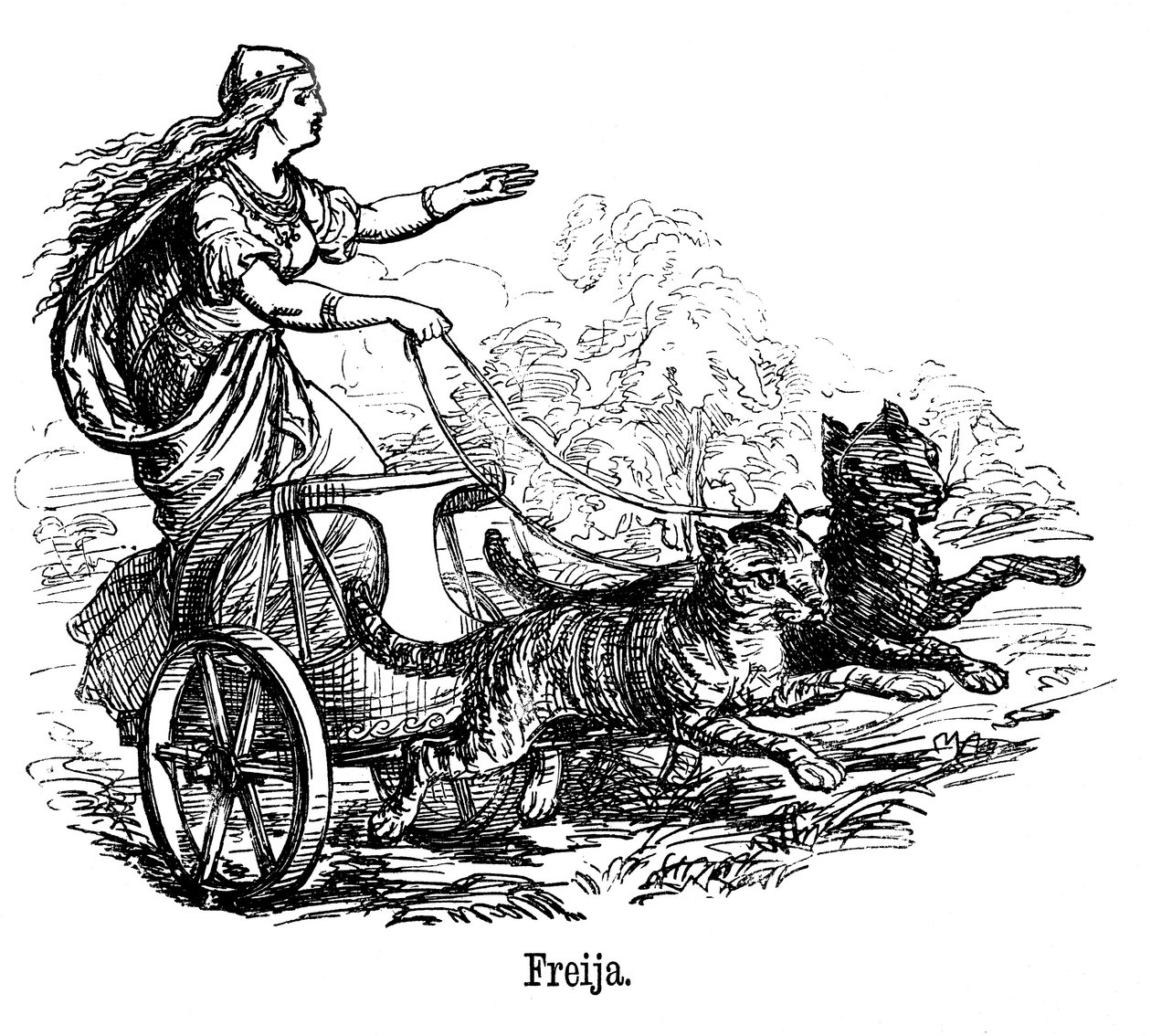 Freya Frigg bohyně lásky ve skandinávské mytologii, řídí svůj vůz tažený kočkami od Unbekannt