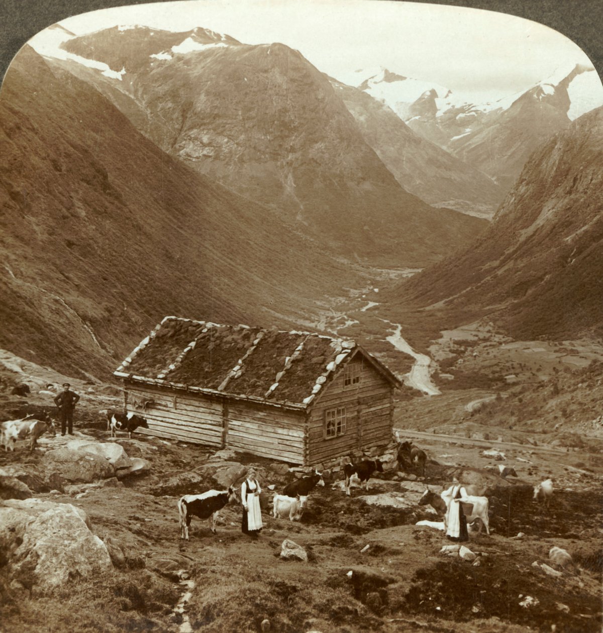 Z horského hostince ve Vidde saeter dolů údolím Vidde - hora Skaala ve správné vzdálenosti, c1905. od Unbekannt