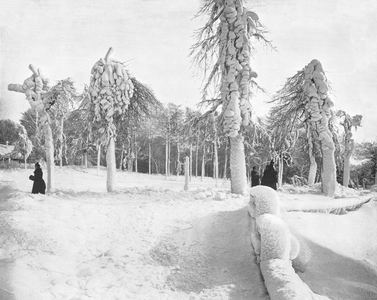 Frost Work in Prospect Park, Niagara, USA, c1900. od Unbekannt