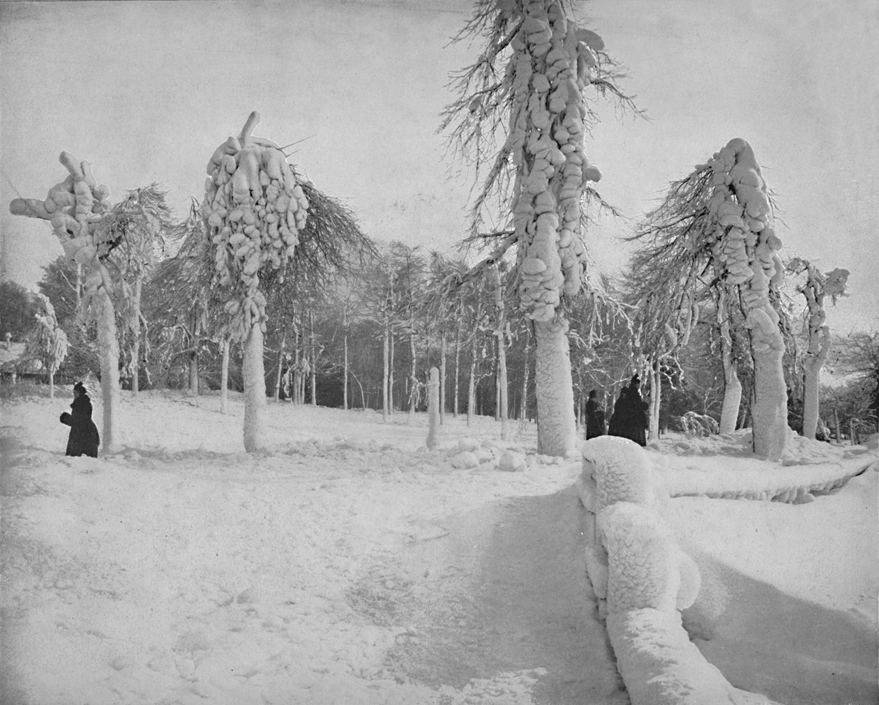 Frost Work in Prospect Park, Niagara, c1897. od Unbekannt