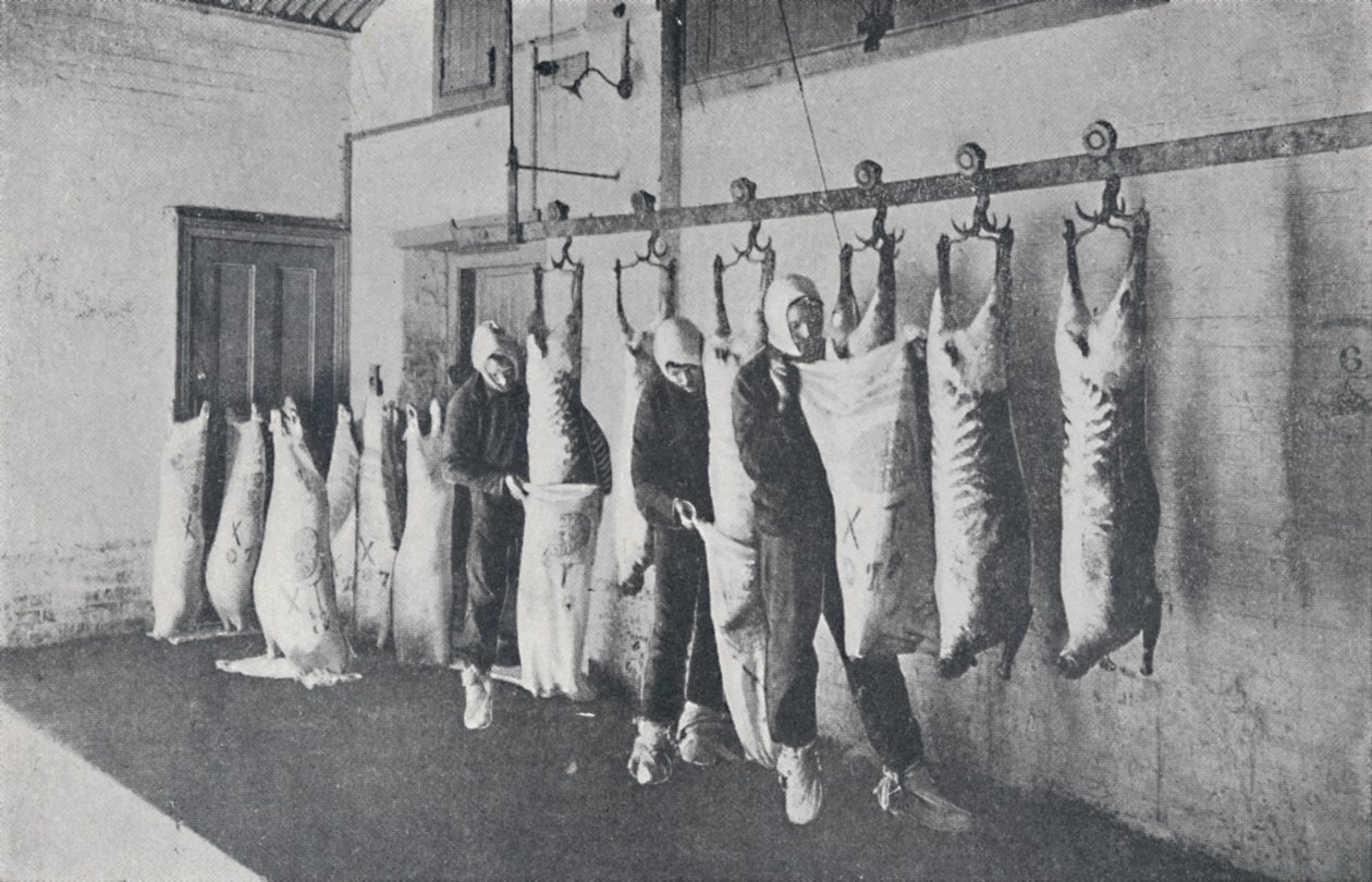 Mražené maso, 1923. od Unbekannt