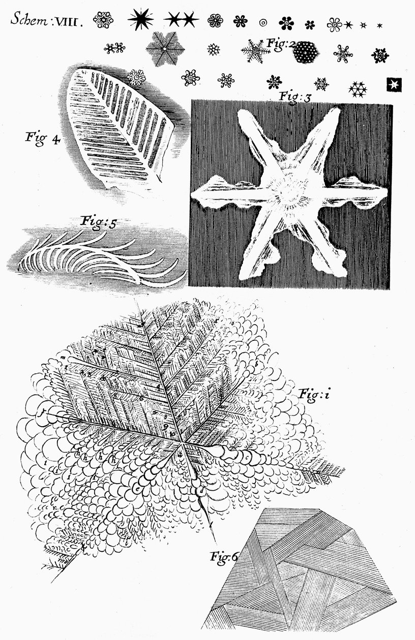 Zmrazené materiály prohlížené anglickým mikroskopem Robertem Hookem, 1665 od Unbekannt