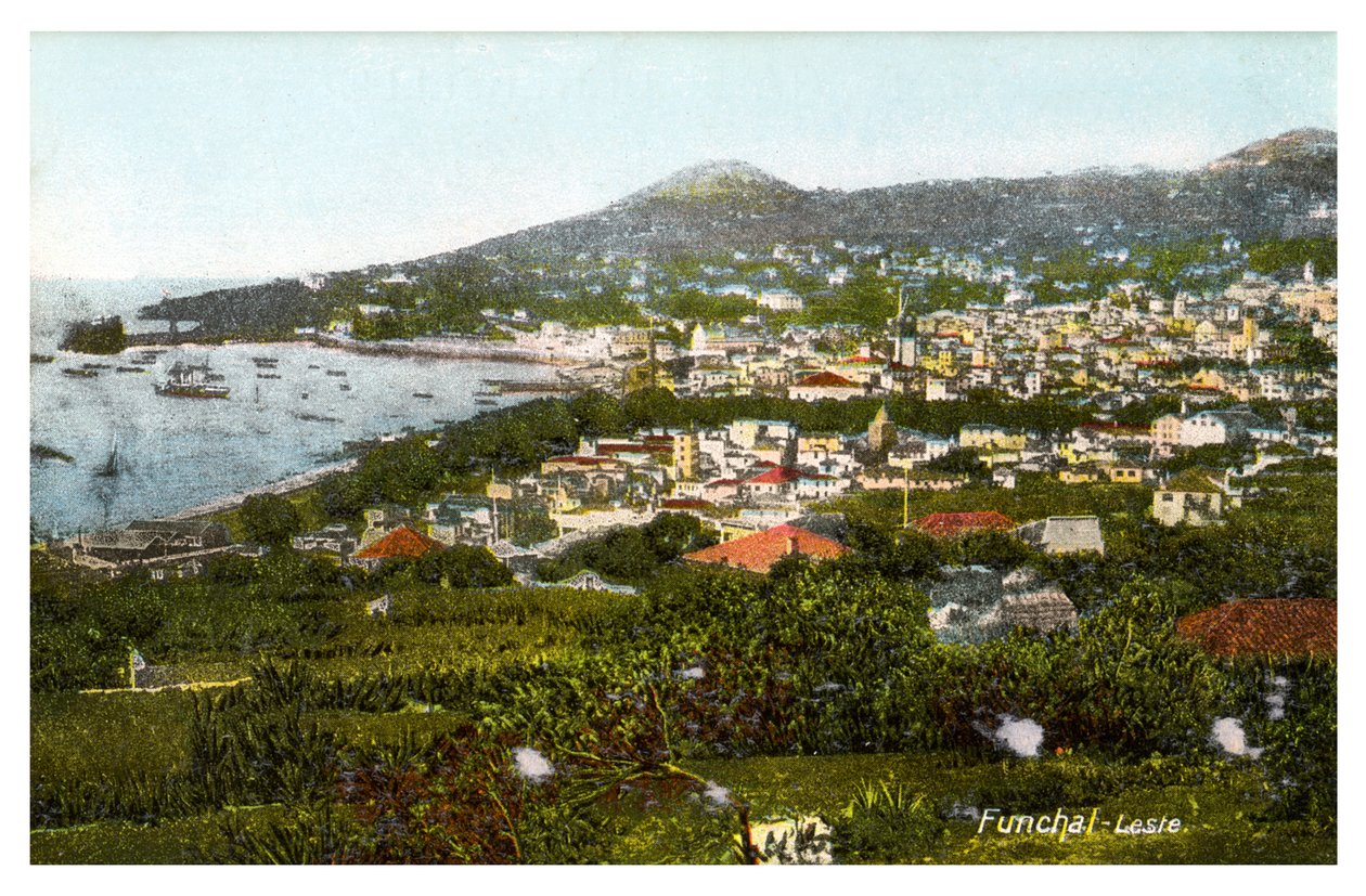 Funchal, Madeira, začátek 20. století od Unbekannt