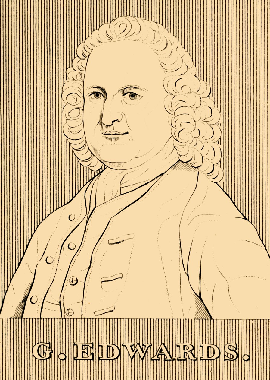 G. Edwards, 1694-1773, 1830. od Unbekannt