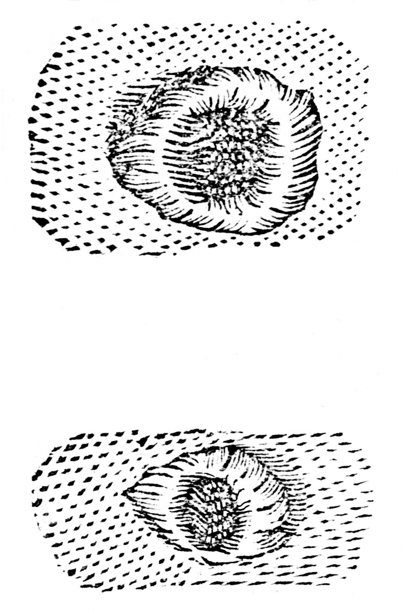 Galileos kresba měsíčních kráterů, 1611, c1655 od Unbekannt