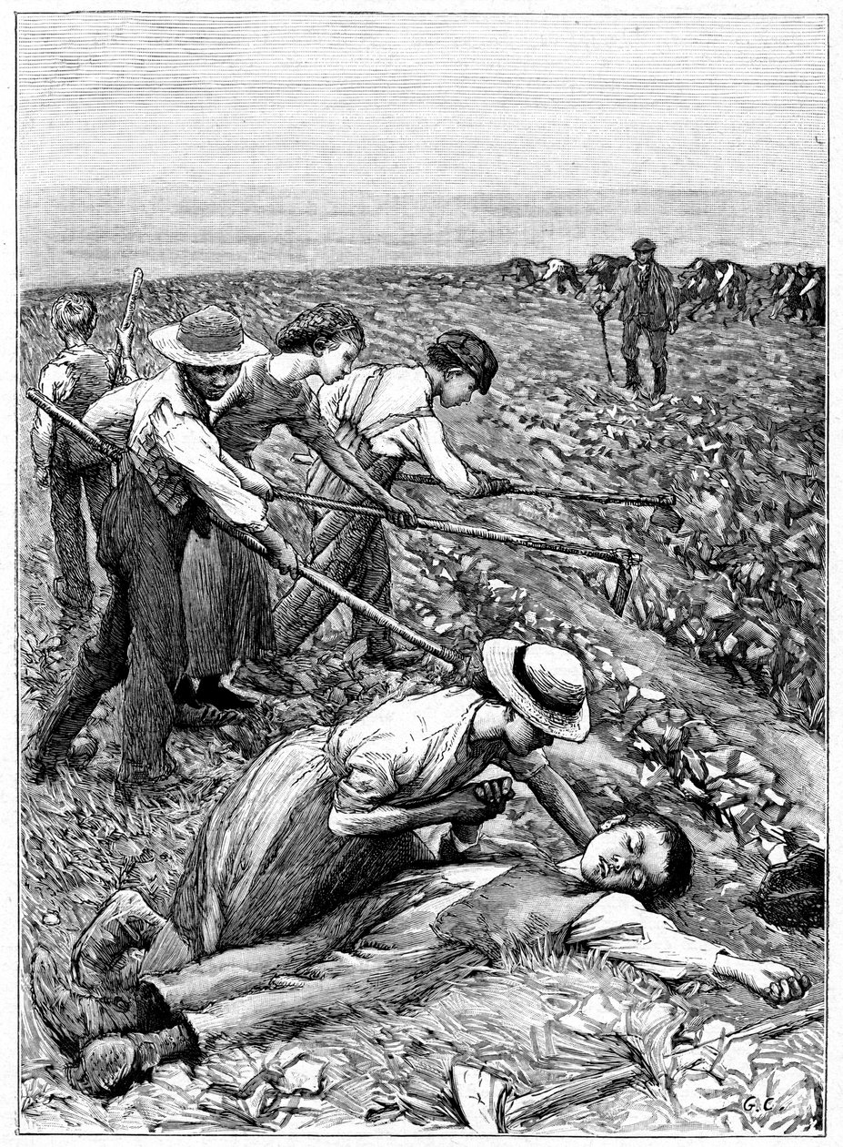 Gangový systém dětské práce, c1885 od Unbekannt