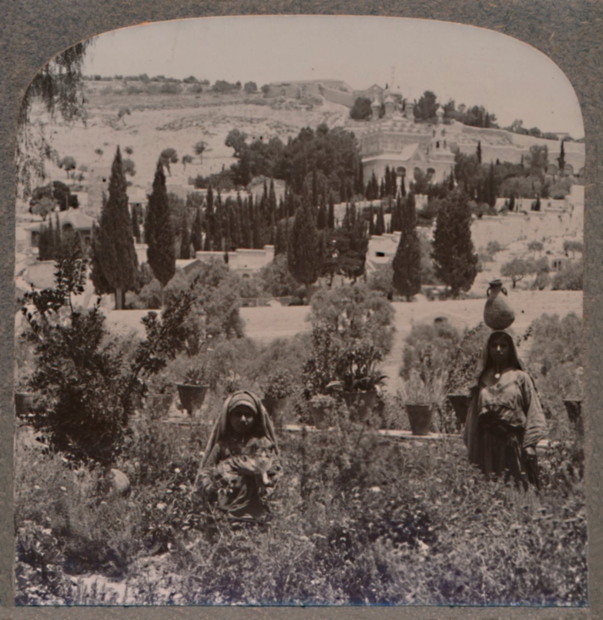 Getsemanská zahrada a Olivová hora z řeckých zahrad, c1900 od Unbekannt