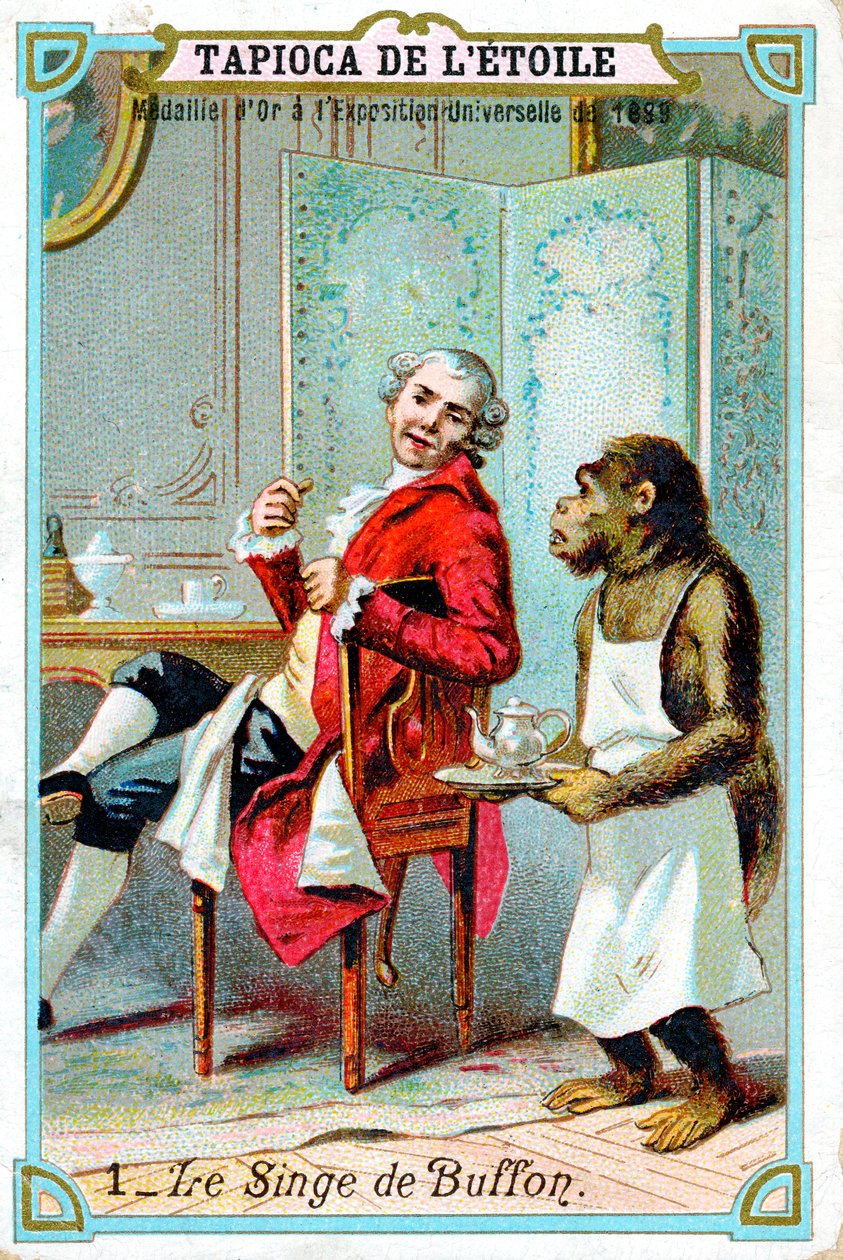 George-Louis Leclerc, Comte de Buffon, francouzský přírodovědec 18. století, c1890 od Unbekannt