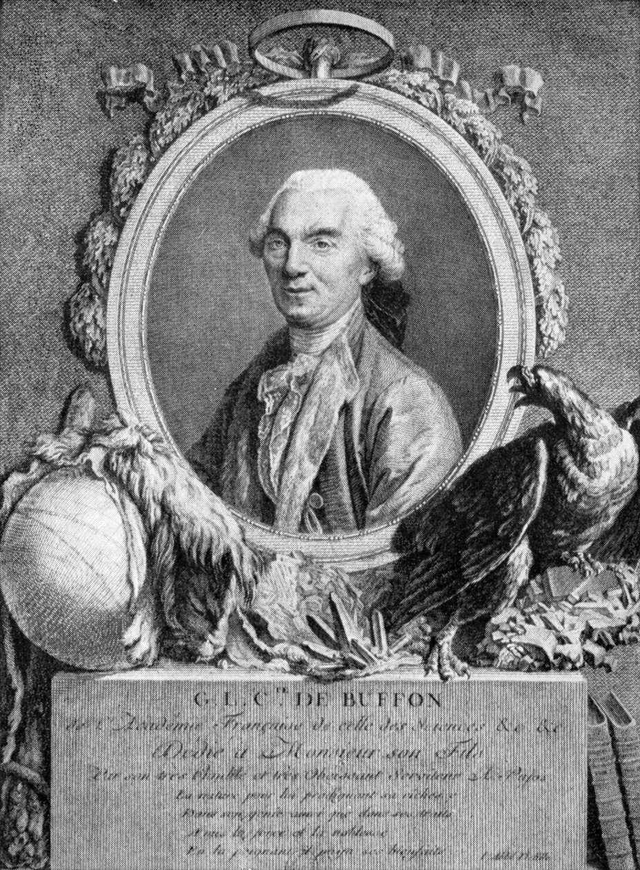 Georges-Louis Leclerc, Comte de Buffon, francouzský přírodovědec, 18. století od Unbekannt