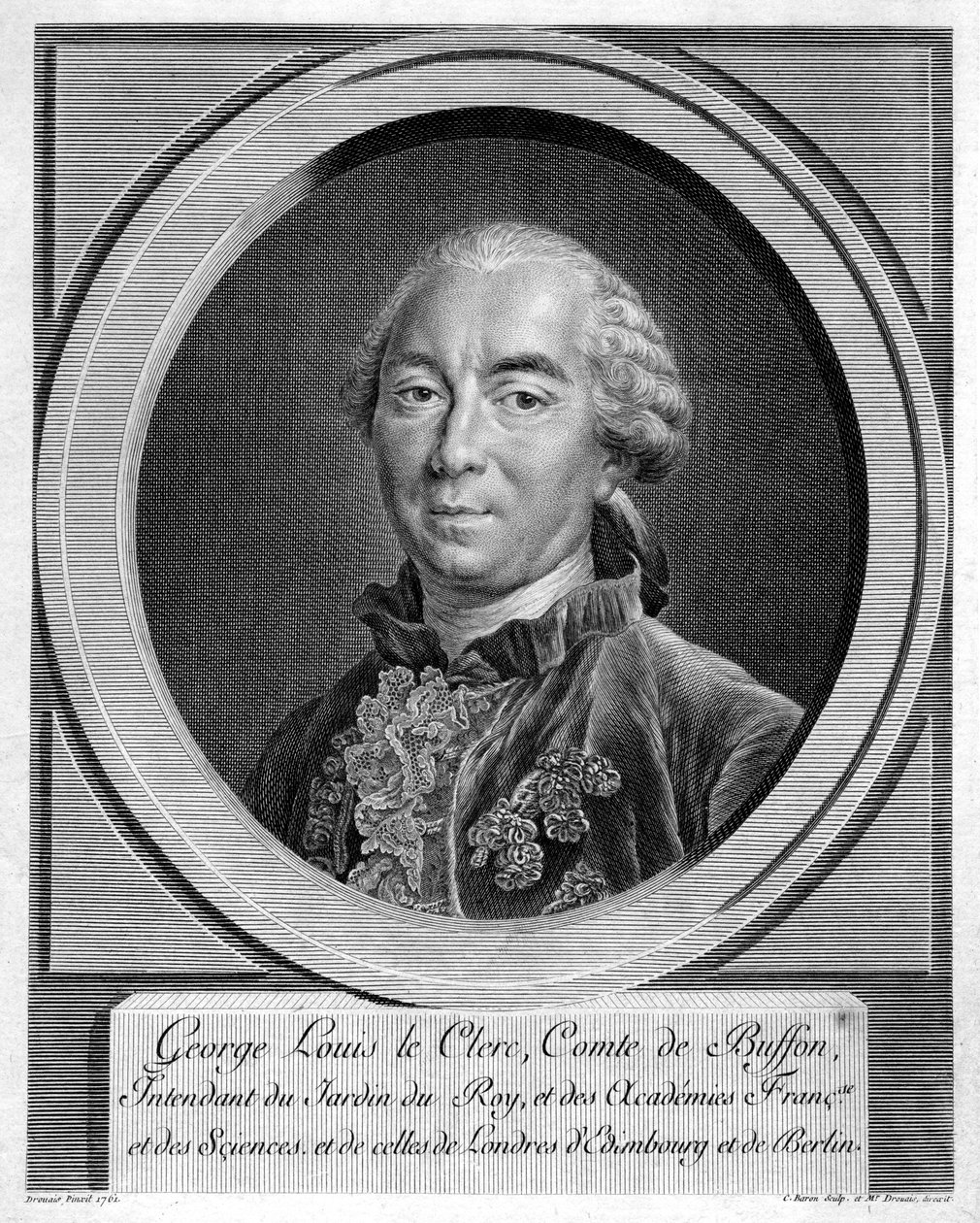 Georges-Louis Leclerc, Comte du Buffon, francouzský přírodovědec, 1761 od Unbekannt