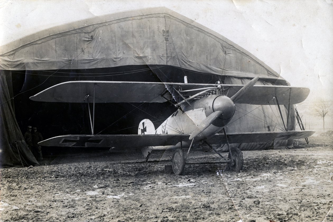 Německý Albatros DV, Souilly, Francie, 2. ledna 1918 od Unbekannt