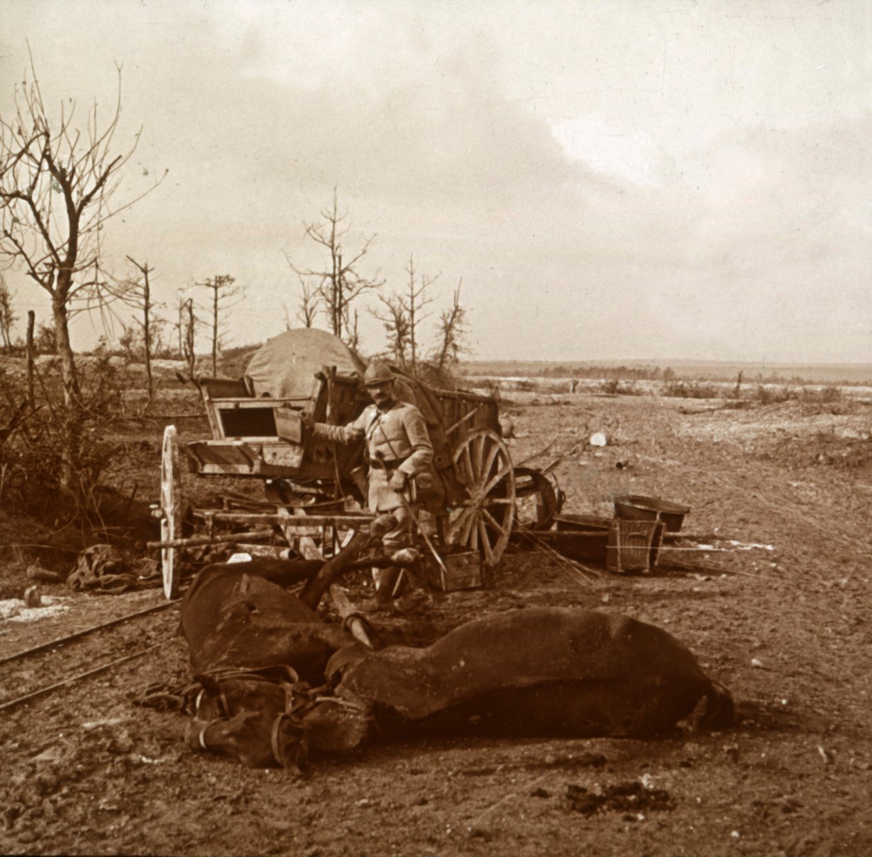 Německé vozidlo tažené koňmi, Tahure, severní Francie, c1914-c1918 od Unbekannt
