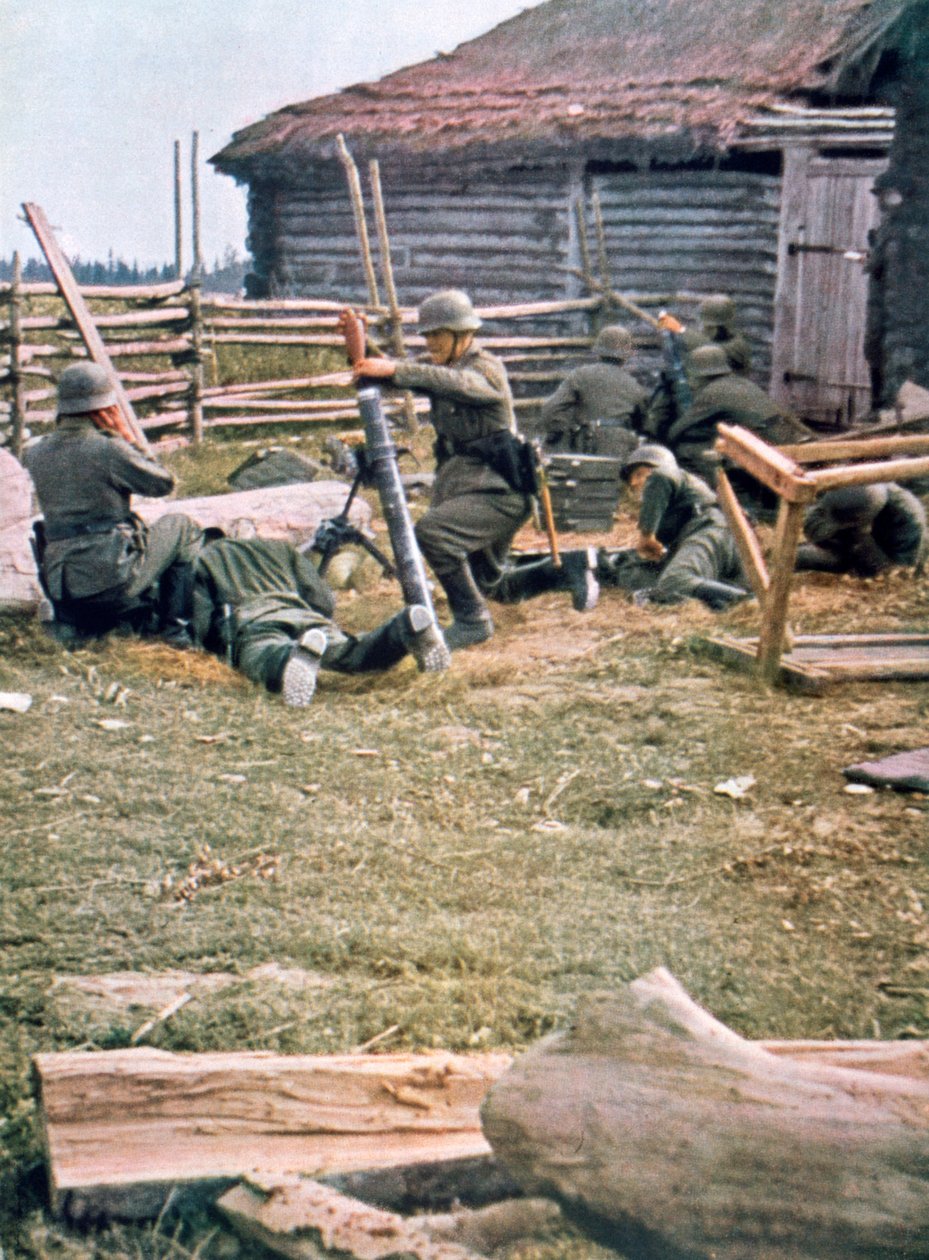 Německé výsadkové jednotky používající minomety, Rusko, 1943 od Unbekannt