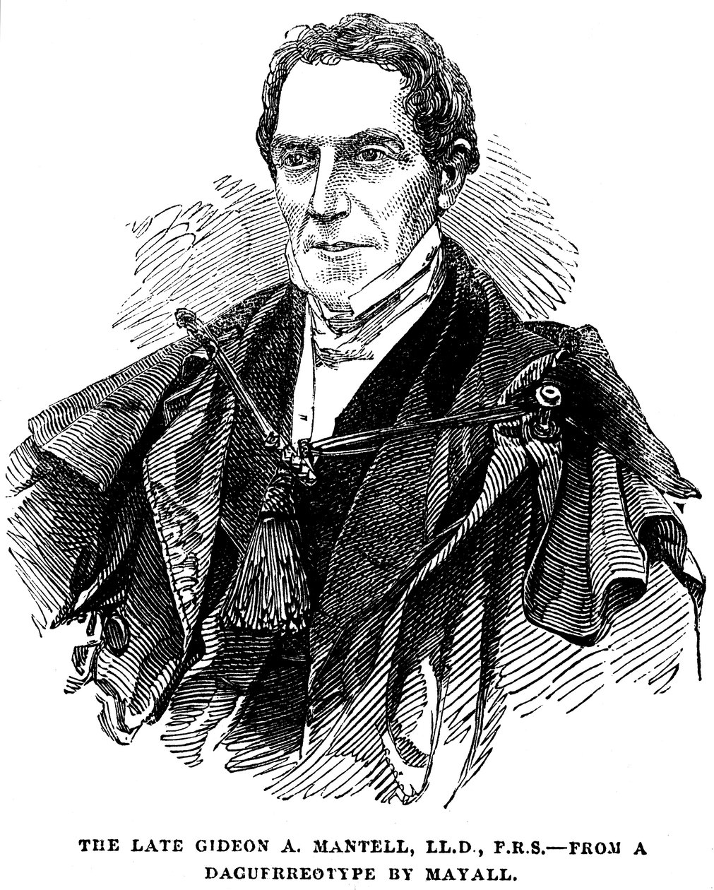 Gideon Algernon Mantell, anglický geolog, 1852 od Unbekannt