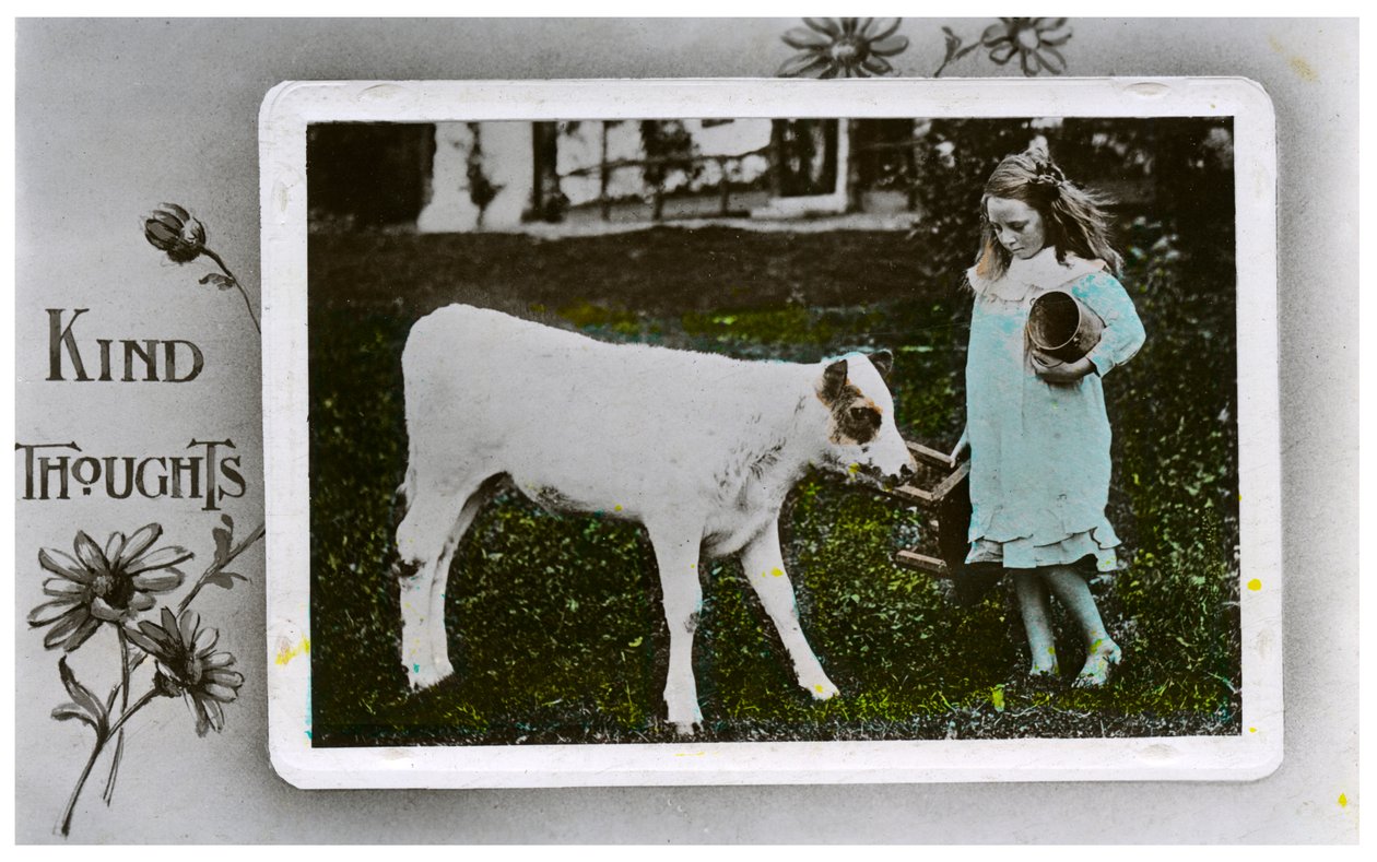 Dívka se chystá podojit krávu, blahopřání, c1890-1910 od Unbekannt