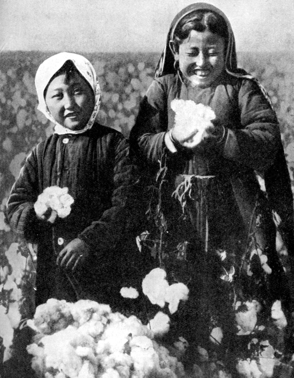 Dívky na bavlníkovém poli, Kazachstán, 1936 od Unbekannt
