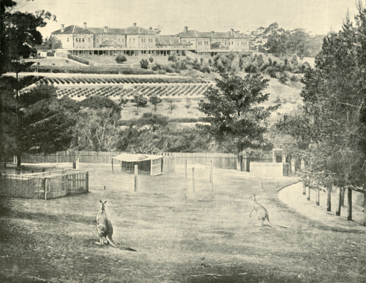 Gladesville Asylum for the Insane, New South Wales, 1901. od Unbekannt
