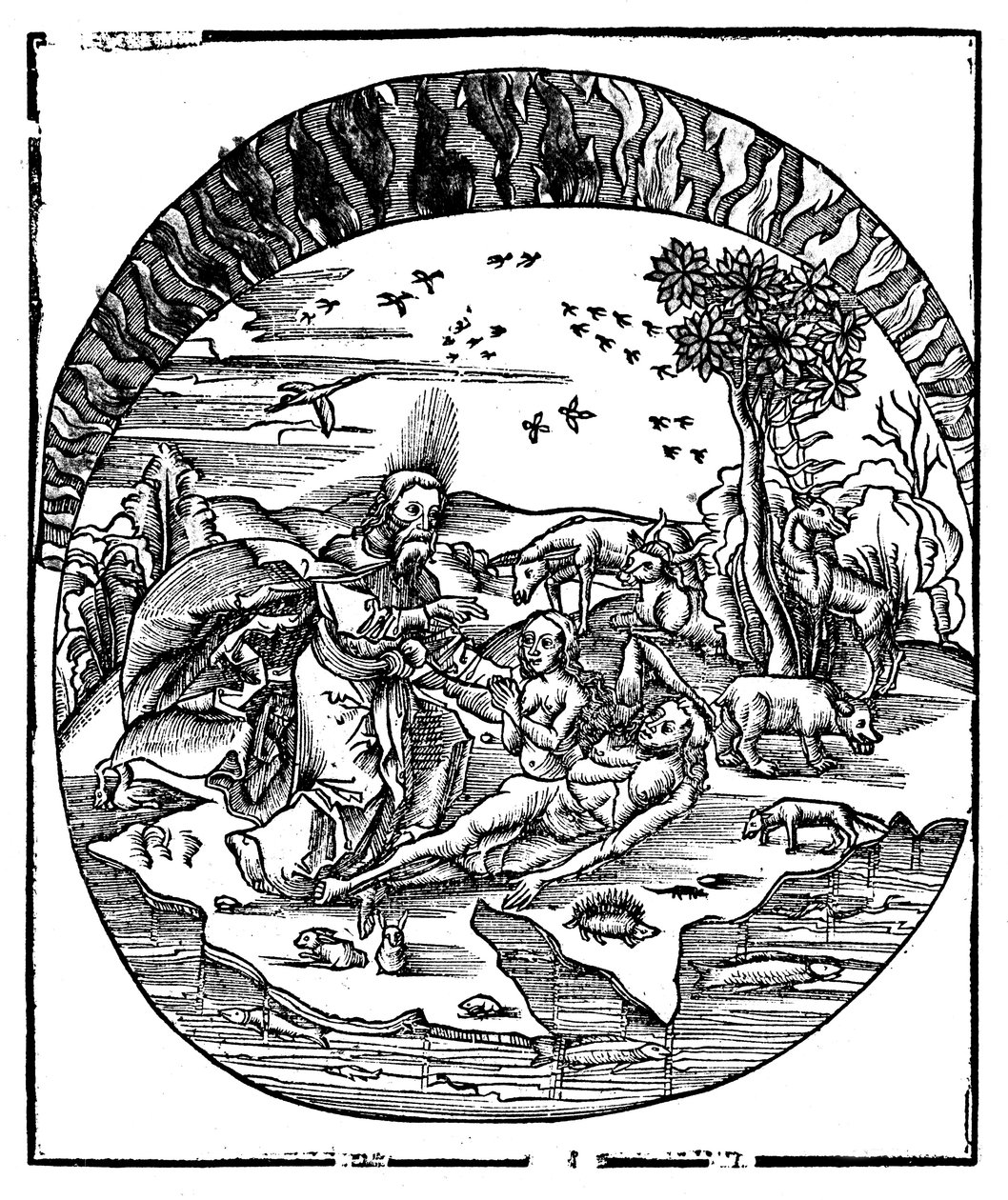 Bůh stvořil Evu z Adamova žebra, 1508 od Unbekannt