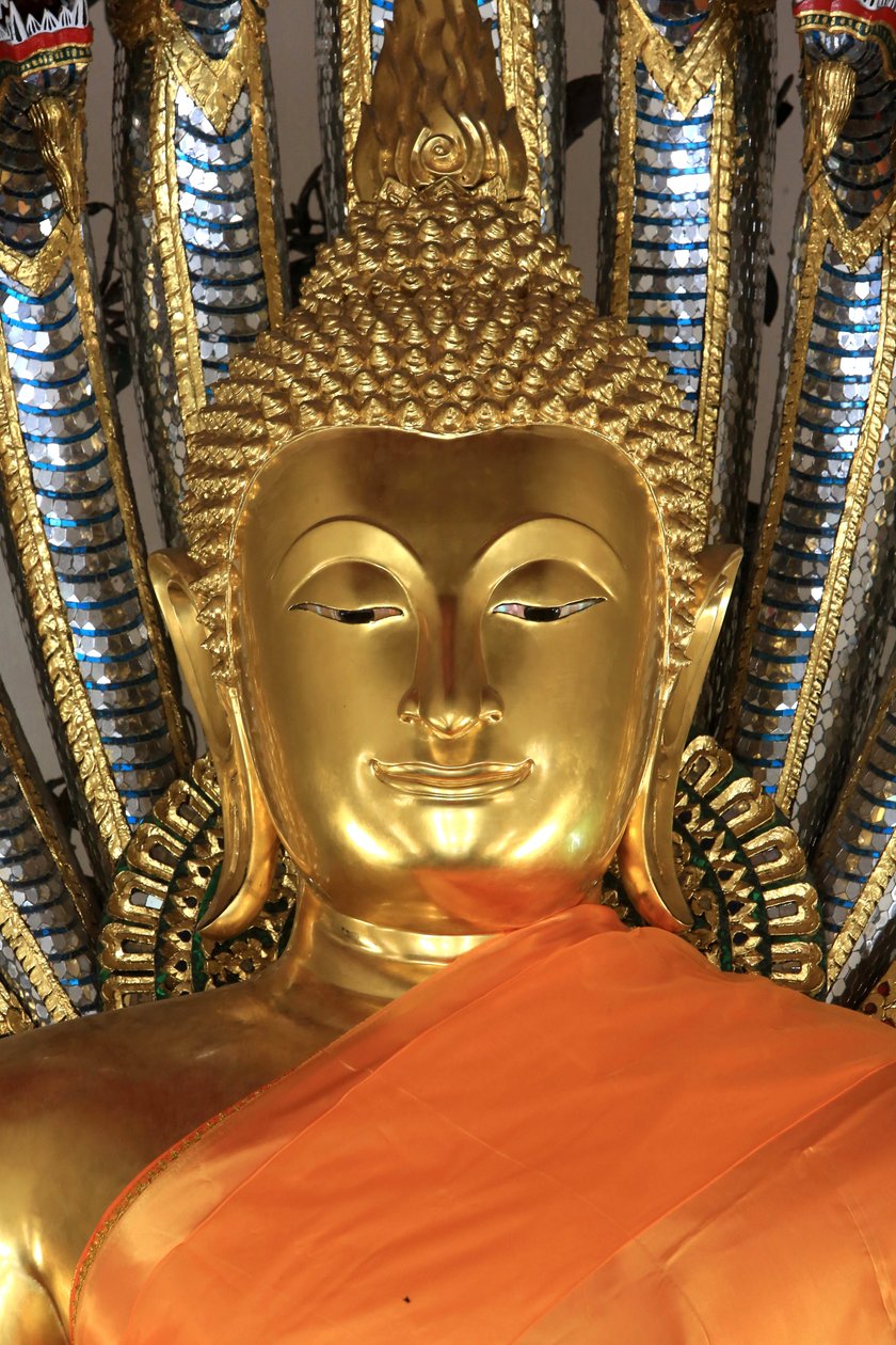 Zlatý Buddha bere Zemi za svědka. Wat Pho - Wat Phra Chetuphon. 1788. Bangkok. Thajsko od Unbekannt