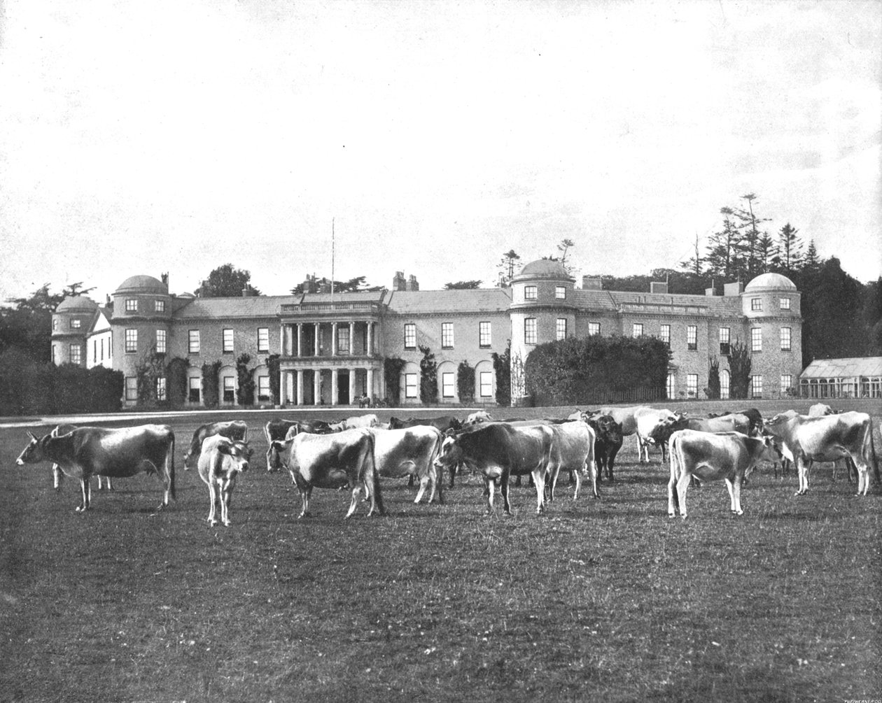 Goodwood, Hampshire, 1894. od Unbekannt