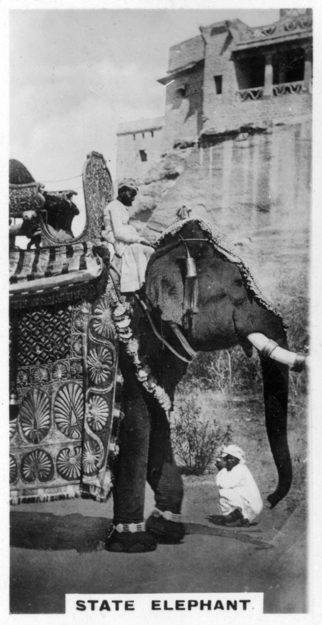 Vládní slon ve státním kostýmu, Jižní Indie, c1925 od Unbekannt
