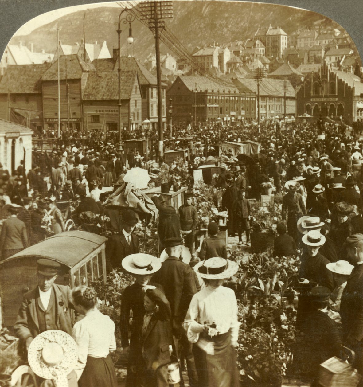 Skvělé tržiště v rušném Bergenu, květinový trh N. na rybí trh, Norsko, c1905. od Unbekannt