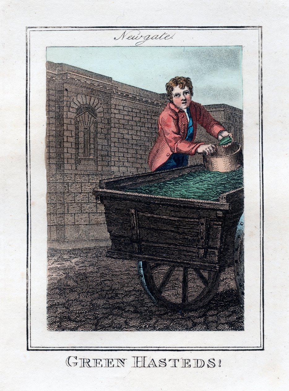 Green Hasteds, Newgate, Londýn, 1805 od Unbekannt