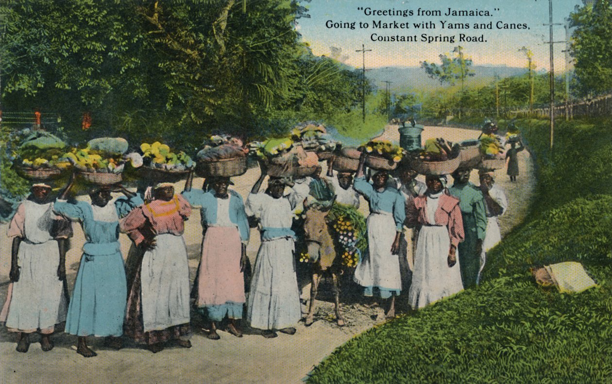 Pozdrav z Jamajky. Jít na trh s jamy a holemi. Constant Spring Road, 1913. od Unbekannt