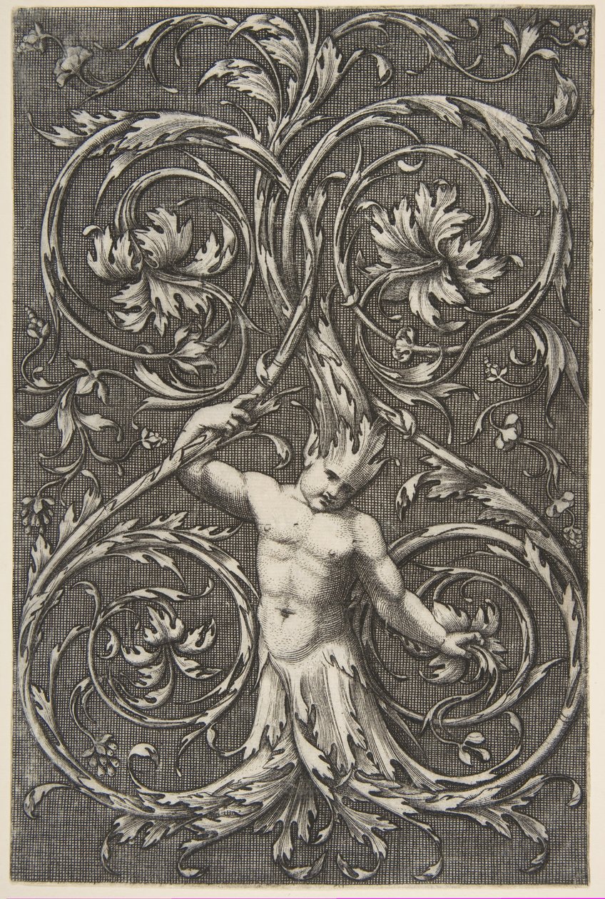 Groteska s mužskou postavou s dolní částí těla a hlavou akantových svitků, ca. 1515-1600. od Unbekannt
