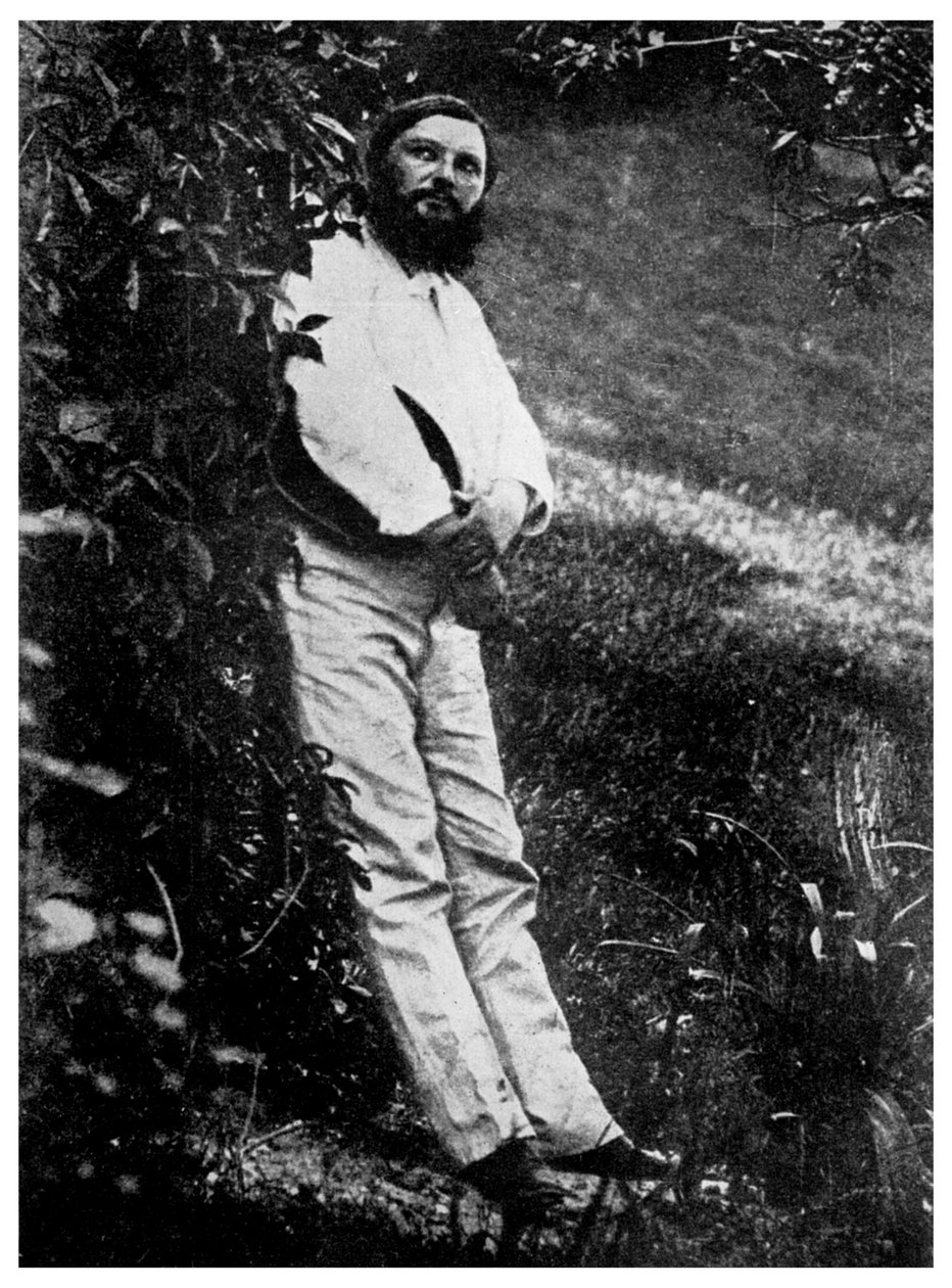 Gustave Courbet , francouzský umělec, 19. století 1956 od Unbekannt