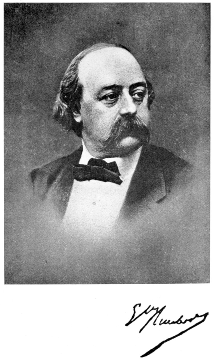 Gustave Flaubert, francouzský romanopisec, 19. století od Unbekannt