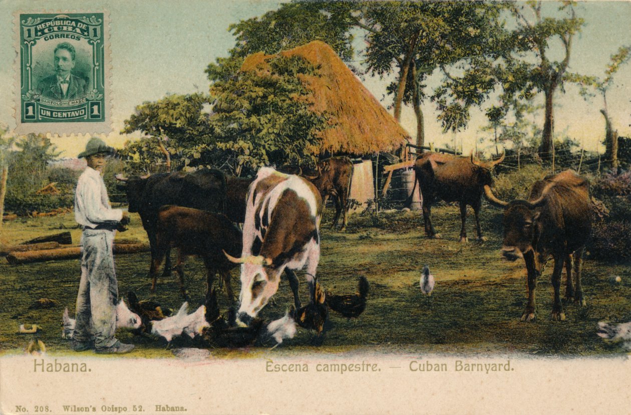 Habana. Escena campestre - kubánský barnyard, c1910 od Unbekannt
