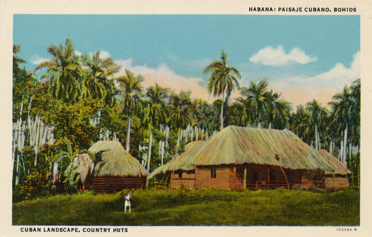 Havana: Kubánská krajina, Bohios. Kubánská krajina, venkovské chatrče, c1910 od Unbekannt
