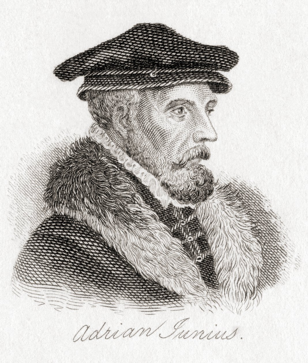 Hadrianus Junius, 1511-1575, známý jako Adriaen de Jonghe. od Unbekannt