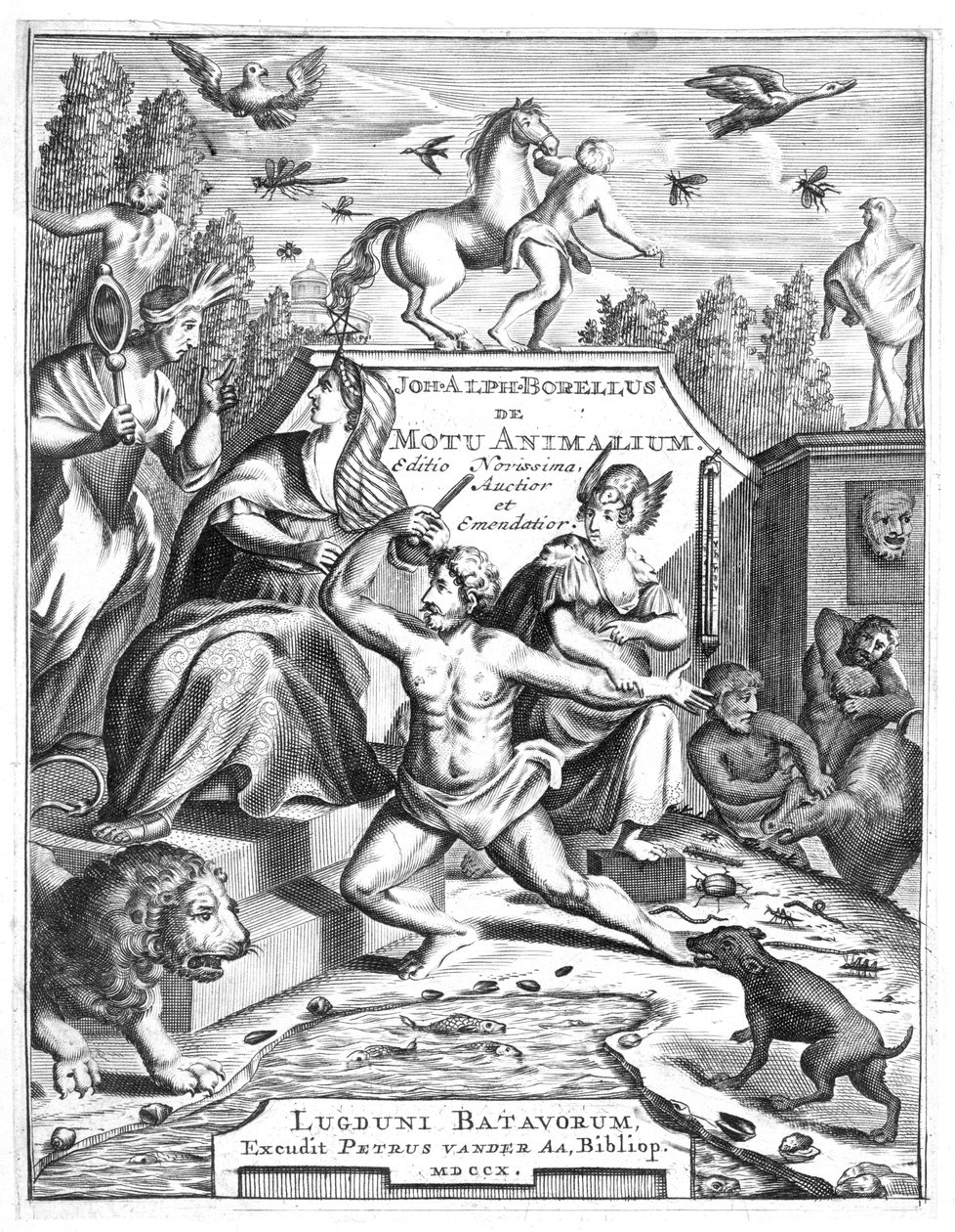 Polotitul De Motu Animalum od Giovanniho Borelliho, 1710 od Unbekannt