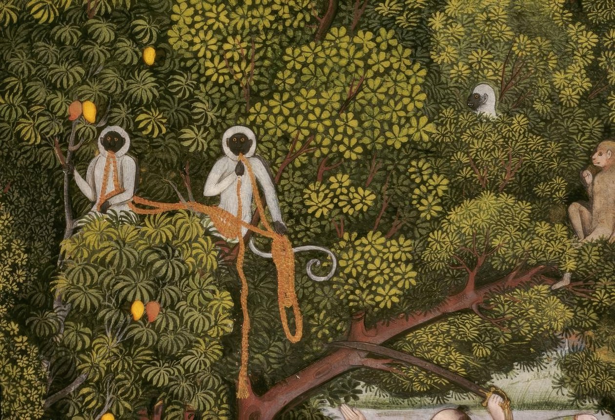 Indická miniatura Hanuman-Languren od Unbekannt