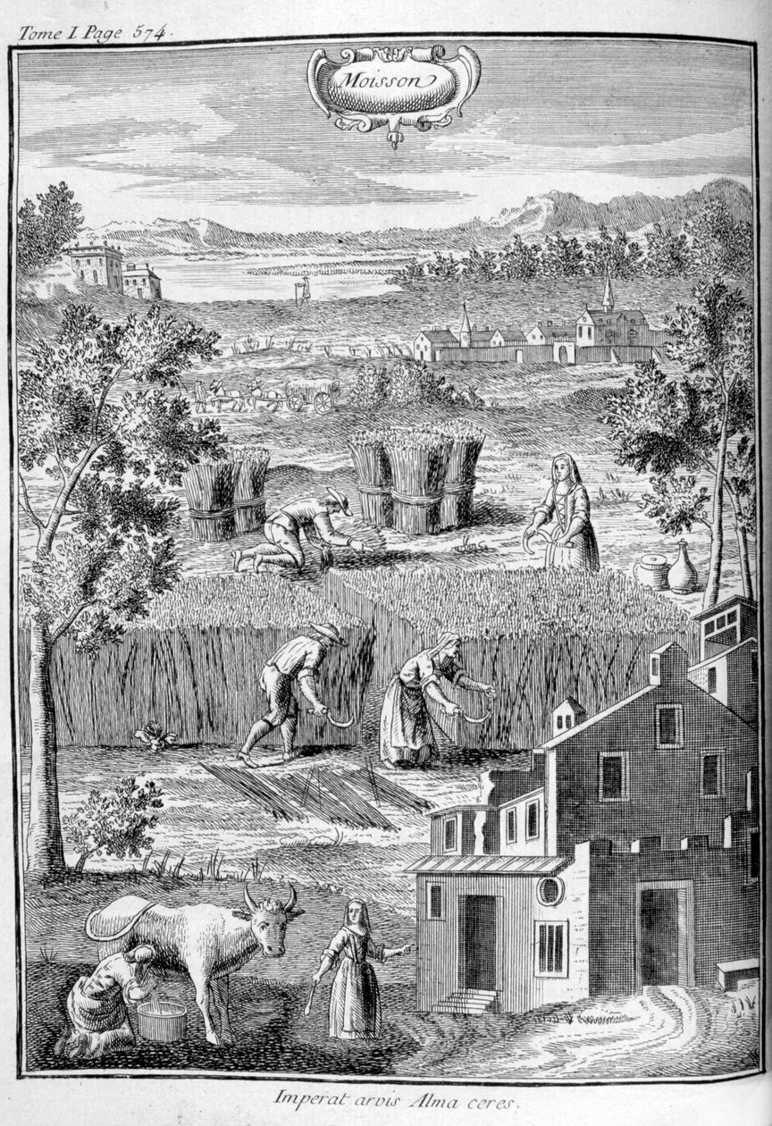 Sklizeň, 1775 od Unbekannt