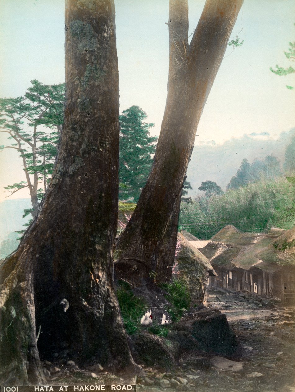 Hata na Hakone Road, Japonsko, počátek 20. století od Unbekannt