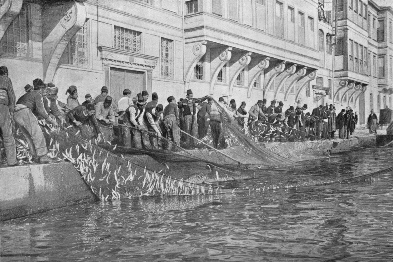 Tažení v Grippo 15000 ryb v Emirgian na Bosporu, c1901, 1903 od Unbekannt