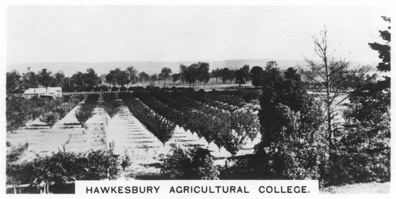 Hawkesbury Agricultural College, New South Wales, Austrálie, 1928 od Unbekannt