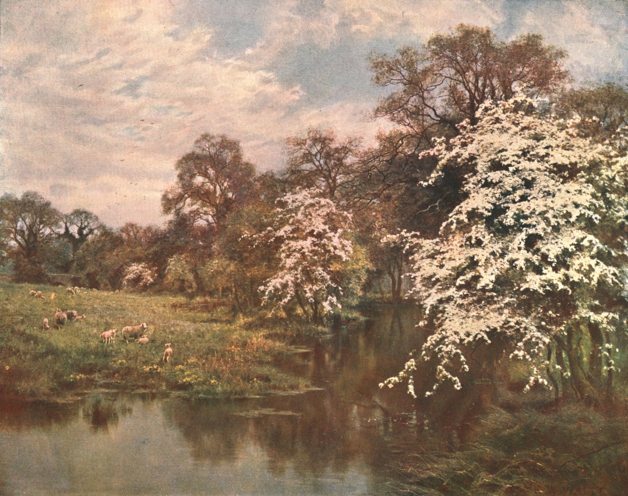 Hawthorn Blossoms, c1899, c1902. od Unbekannt
